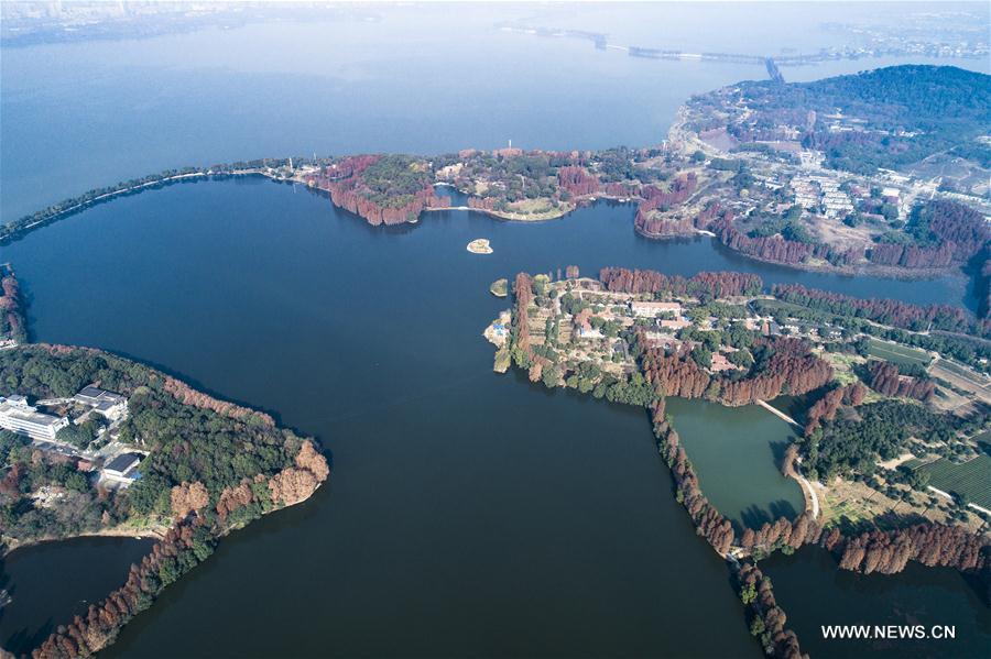 CHINA-HUBEI-WUHAN-EAST LAKE-GREENWAY (CN)