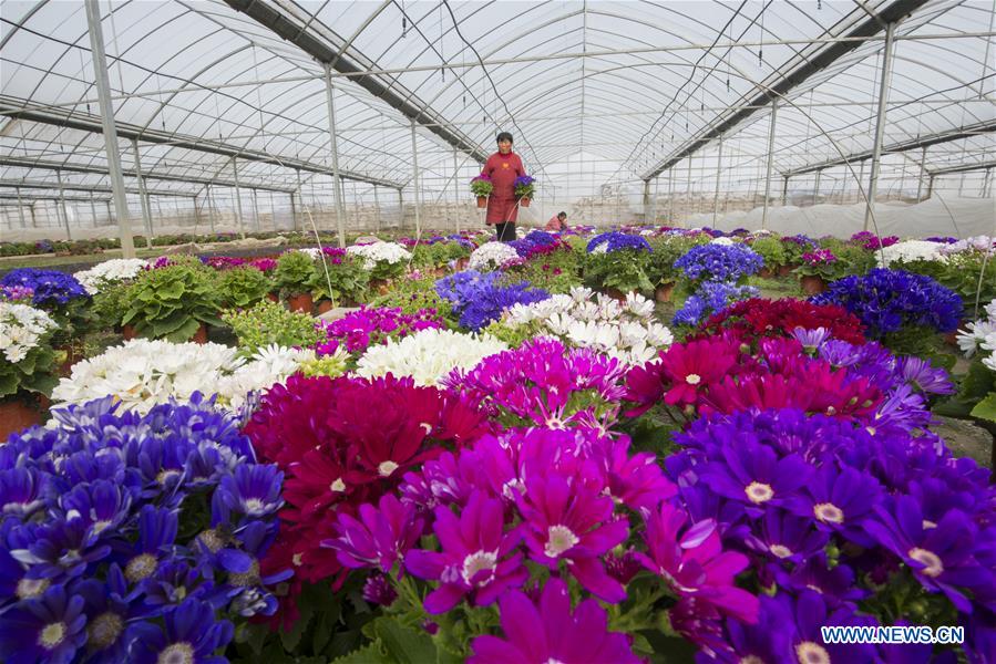 #CHINA-WINTER-DAHAN-SOLAR TERM-FARM WORK (CN)