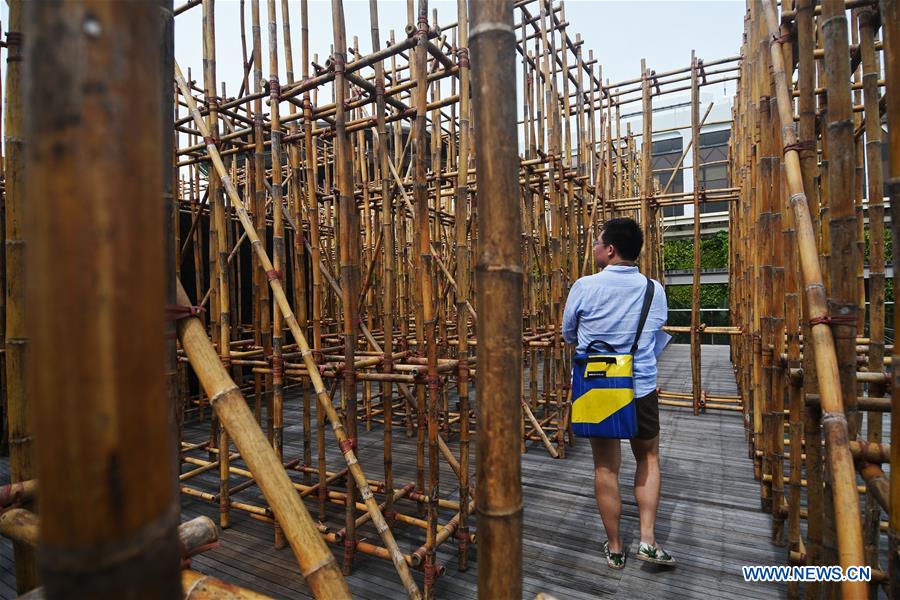 SINGAPORE-NATIONAL GALLERY-ART-BAMBOO MAZE