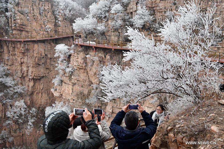 CHINA-HENAN-PINGDINGSHAN-FROST SCENERY (CN)