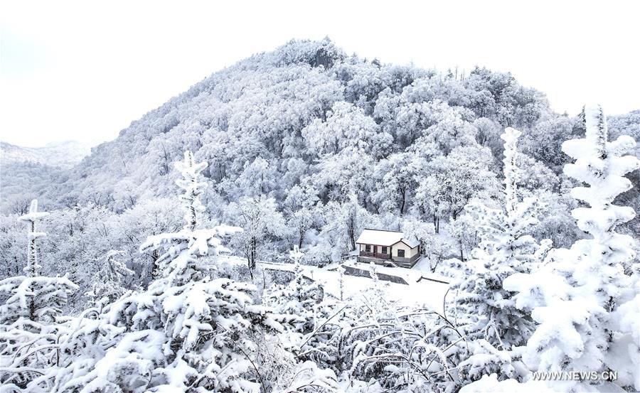 #CHINA-SHAANXI-ZIBAI MOUNTAIN-SNOWFALL (CN*)