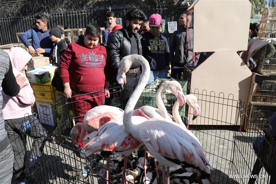 IRAQ-BAGHDAD-PET MARKET