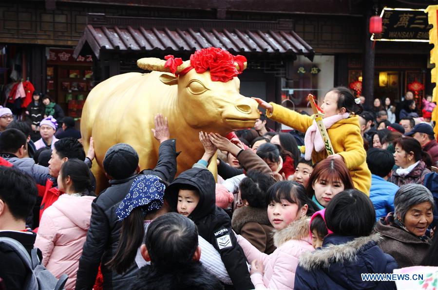 #CHINA-SPRING FESTIVAL-CELEBRATION(CN)