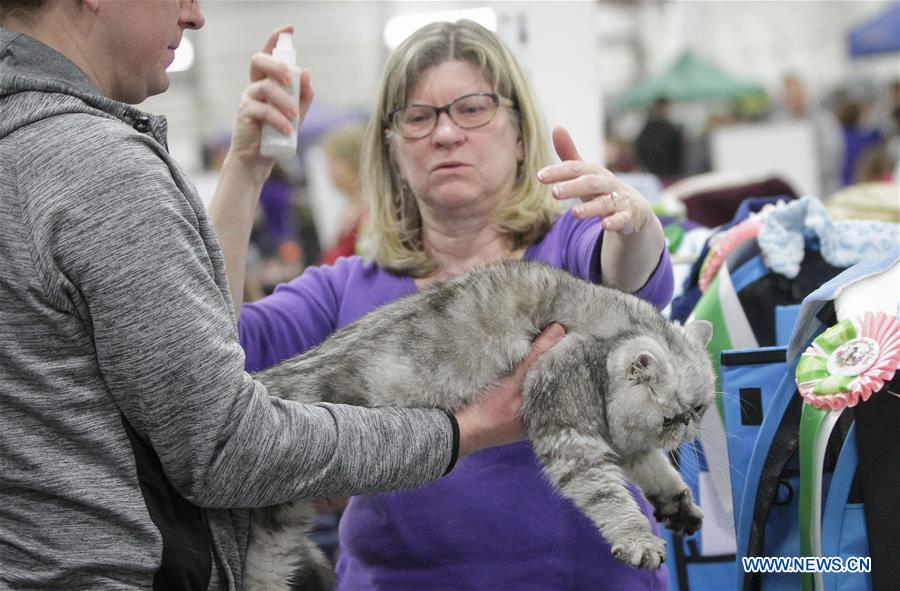 CANADA-VANCOUVER-PET LOVER SHOW