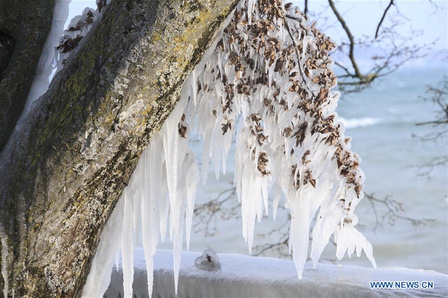 SWITZERLAND-GENEVA-LAKE LEMAN-ICICLES