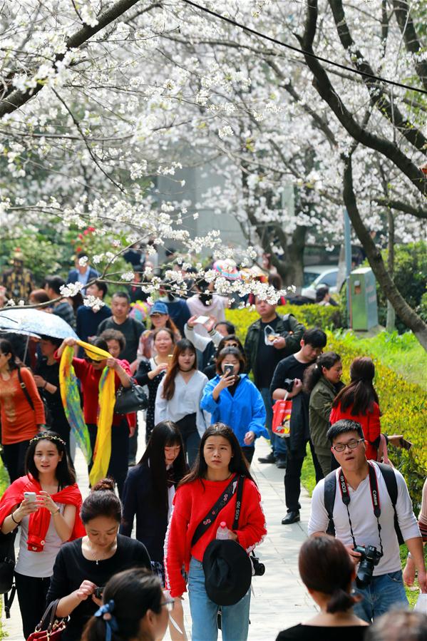 #CHINA-SPRING SCENERY (CN)