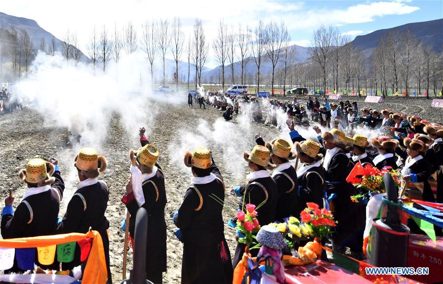 CHINA-TIBET-AGRICULTURE-SPRING PLOUGHING (CN)