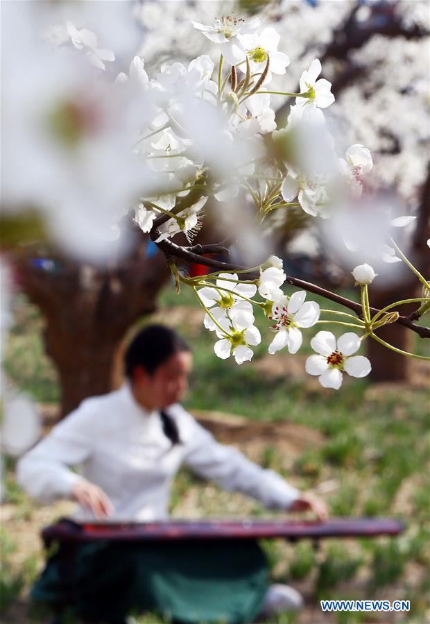 #CHINA-TIANJIN-SPRING GARDEN PARTY (CN)