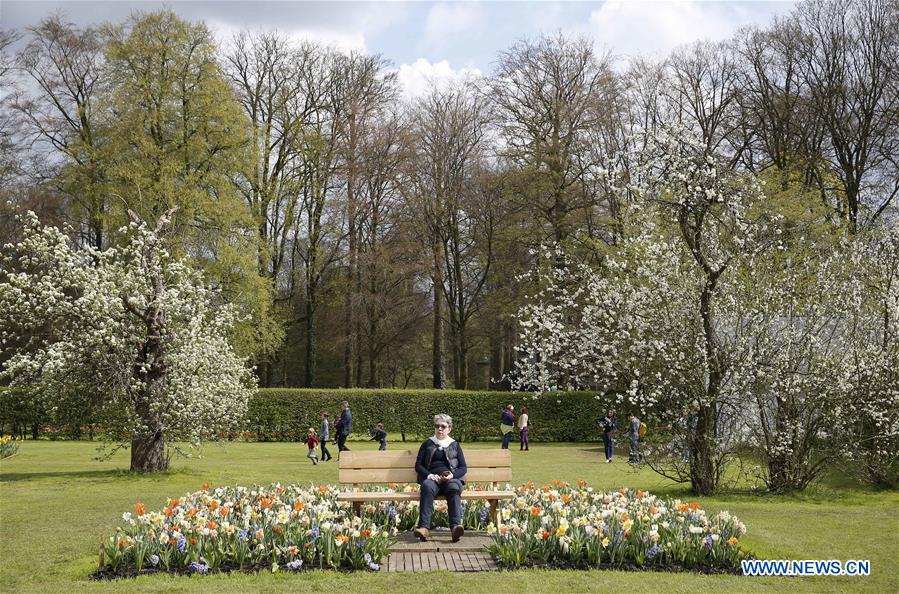 BELGIUM-BRUSSELS-SPRING-FLOWER-DALIYLIFE