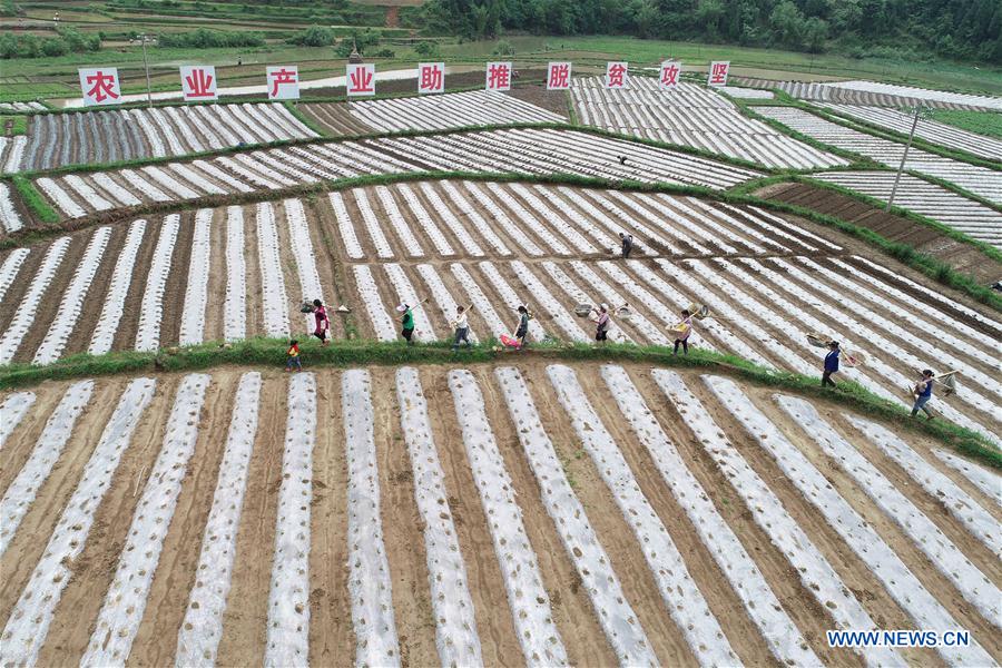 #CHINA-LIXIA-FARM WORK (CN)