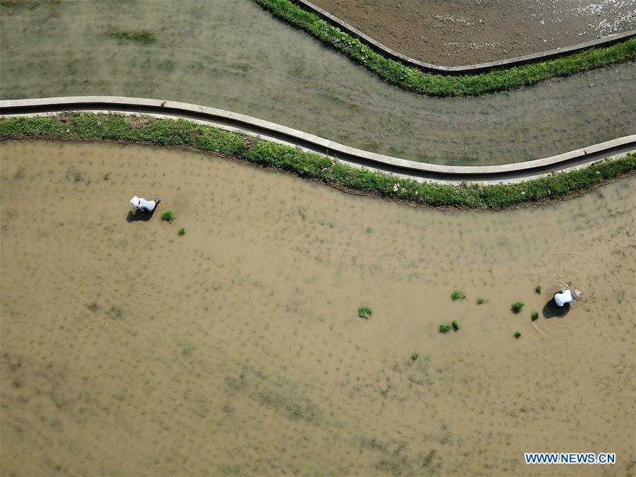 #CHINA-GUIZHOU-ZUNYI-FARM (CN)