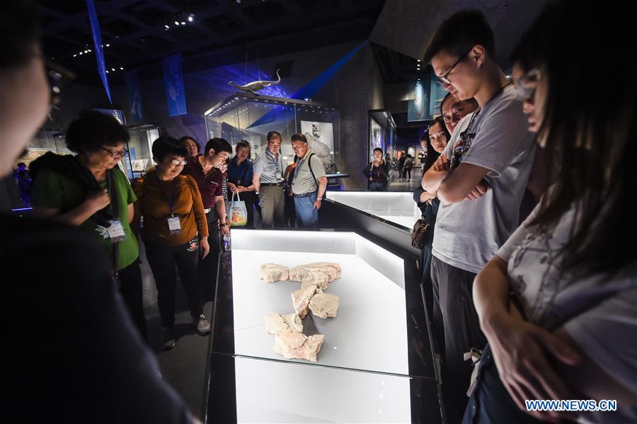 CHINA-MUSEUM-INTERNATIONAL MUSEUM DAY (CN)