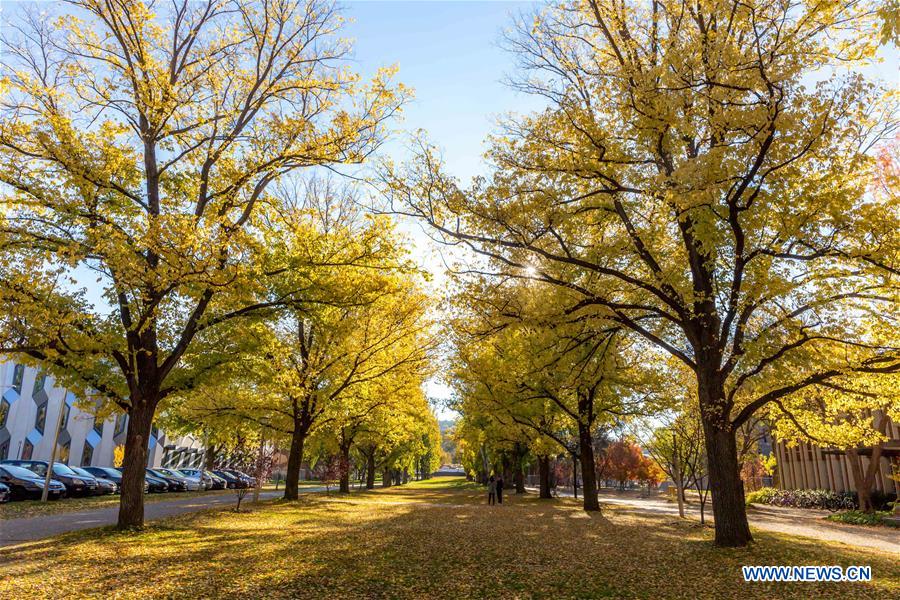 AUSTRALIA-CANBERRA-AUTUMN