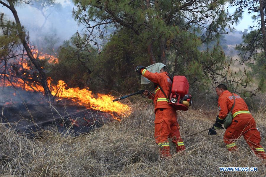 #CHINA-YUNNAN-DALI-FOREST FIRE(CN*)