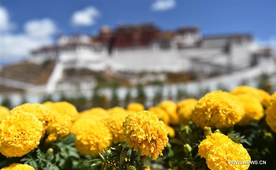 CHINA-TIBET-LHASA-SCENERY (CN)