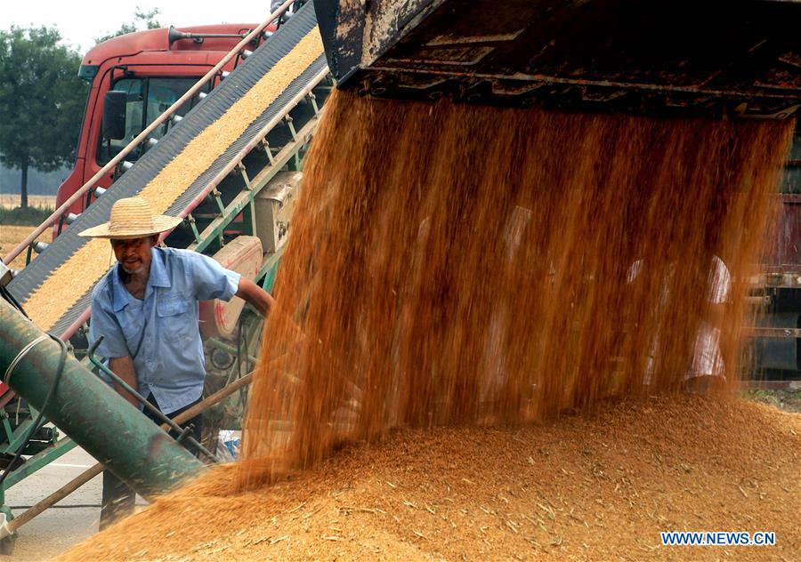 CHINA-HENAN-ZHOUKOU-WHEAT-HARVEST (CN)