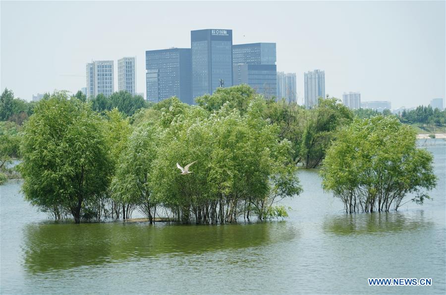 CHINA-SHAANXI-XI'AN-WETLAND-ECOLOGY (CN)