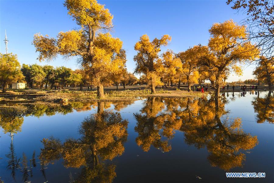 CHINA-ECOLOGICAL DEVELOPMENT-PROGRESS (CN)