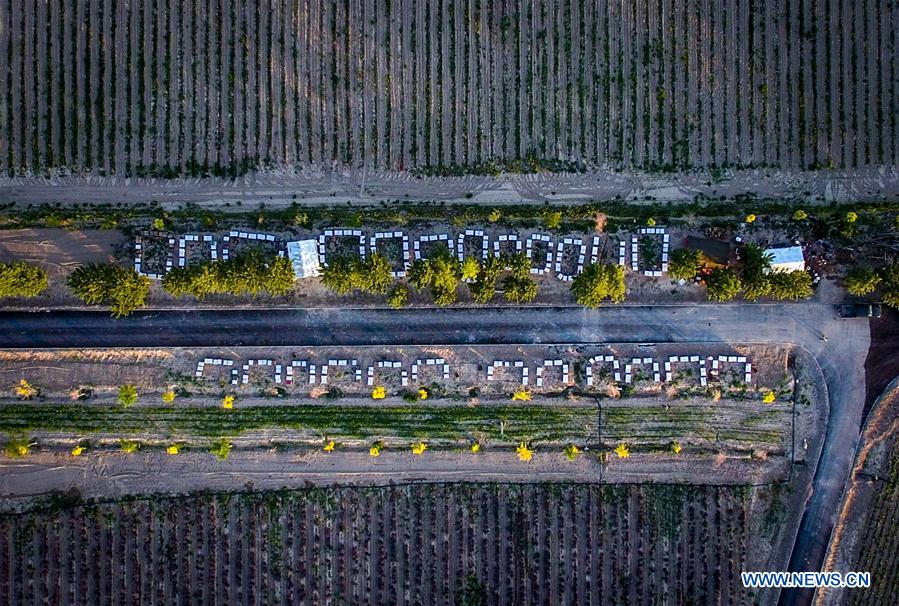 CHINA-XINJIANG-ILI-LAVENDER-BEEKEEPING (CN)