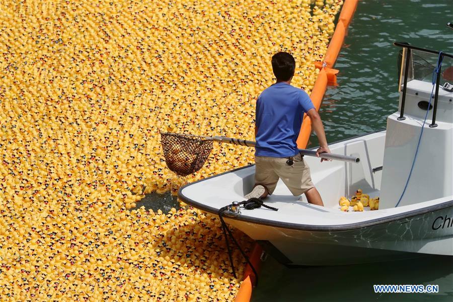 U.S.-CHICAGO-RUBBER DUCKY DERBY-CHARITY