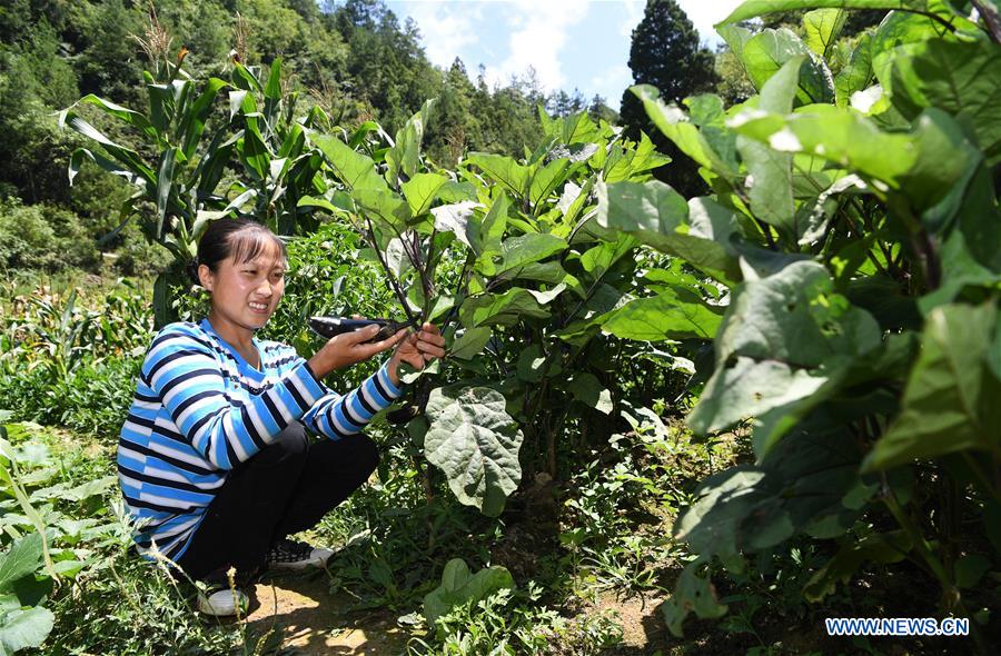 CHINA-CHONGQING-DISABLED FEMALE FARMER (CN)