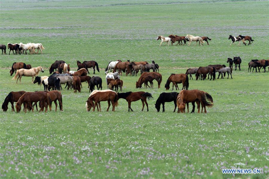 #CHINA-INNER MONGOLIA-SCENERY (CN)