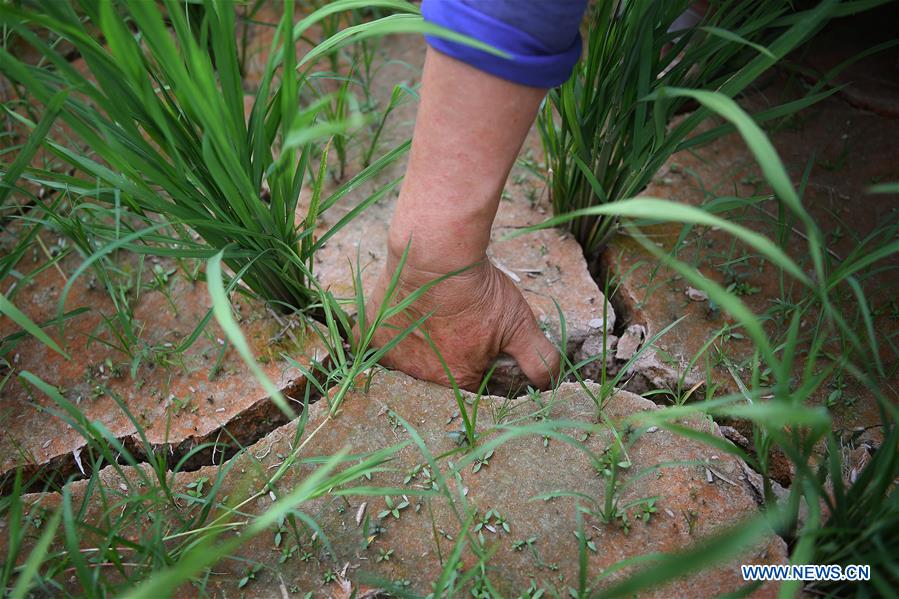 CHINA-JIANGXI-FUZHOU-DROUGHT (CN)