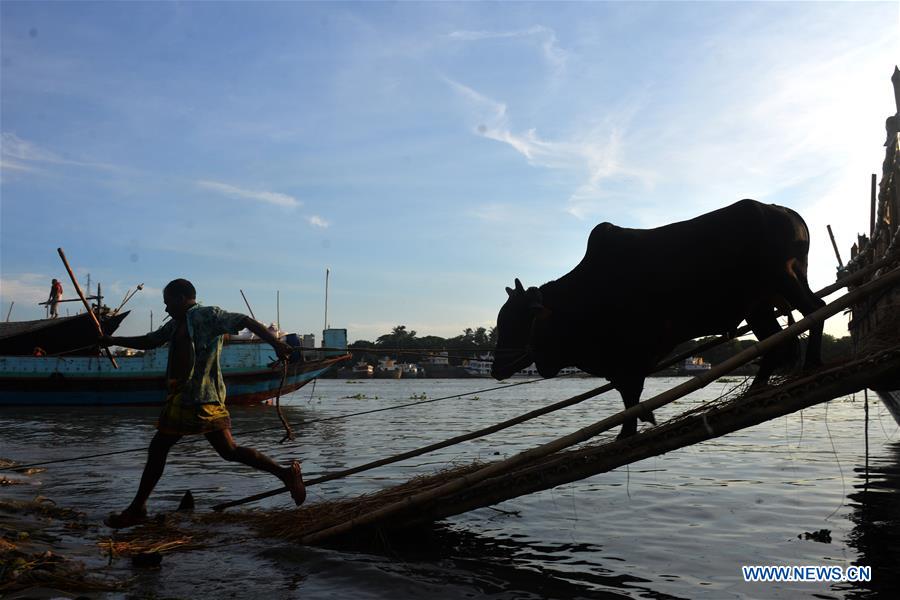 BANGLADESH-DHAKA-EID AL-ADHA-CATTLE-MARKET