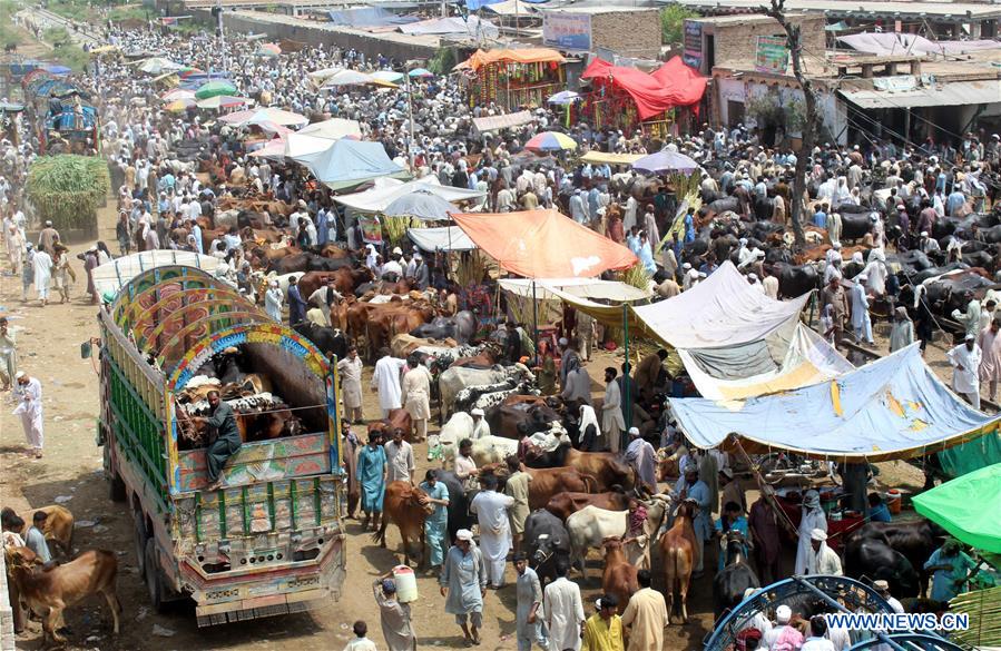 PAKISTAN-PESHAWAR-EID AL-ADHA