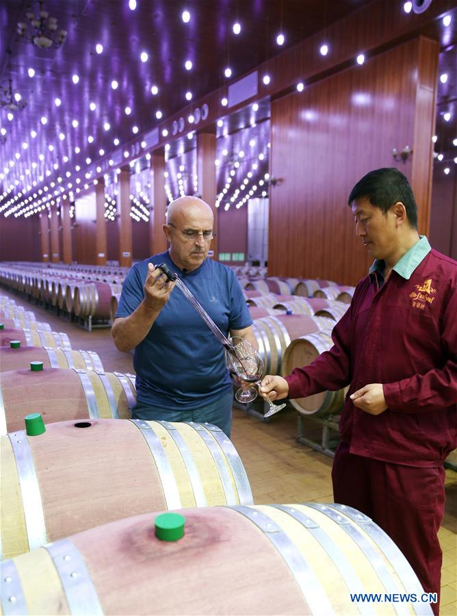 CHINA-NINGXIA-WINE INDUSTRY (CN)