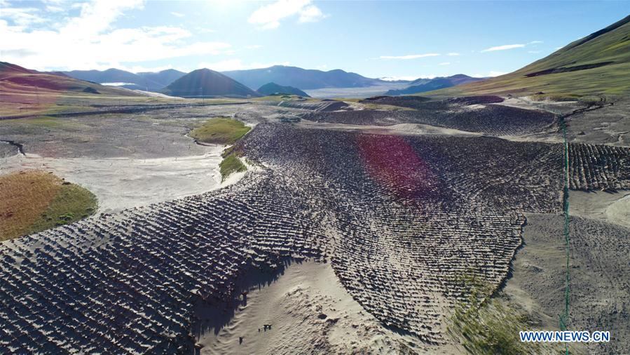 CHINA-TIBET-YARLUNG ZANGBO RIVER-SOURCE-PROTECTION (CN)