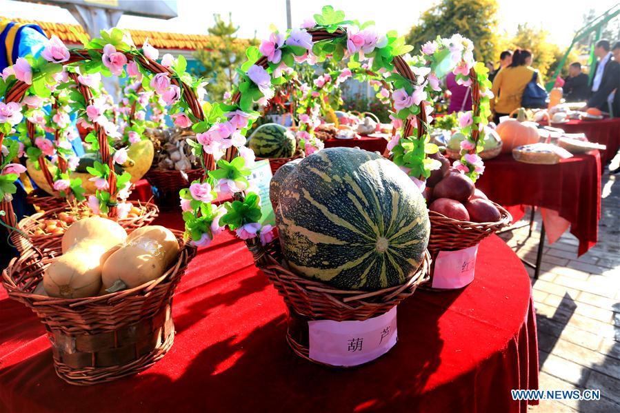 #CHINA-GANSU-ZHANGYE-HARVEST CELEBRATION (CN)