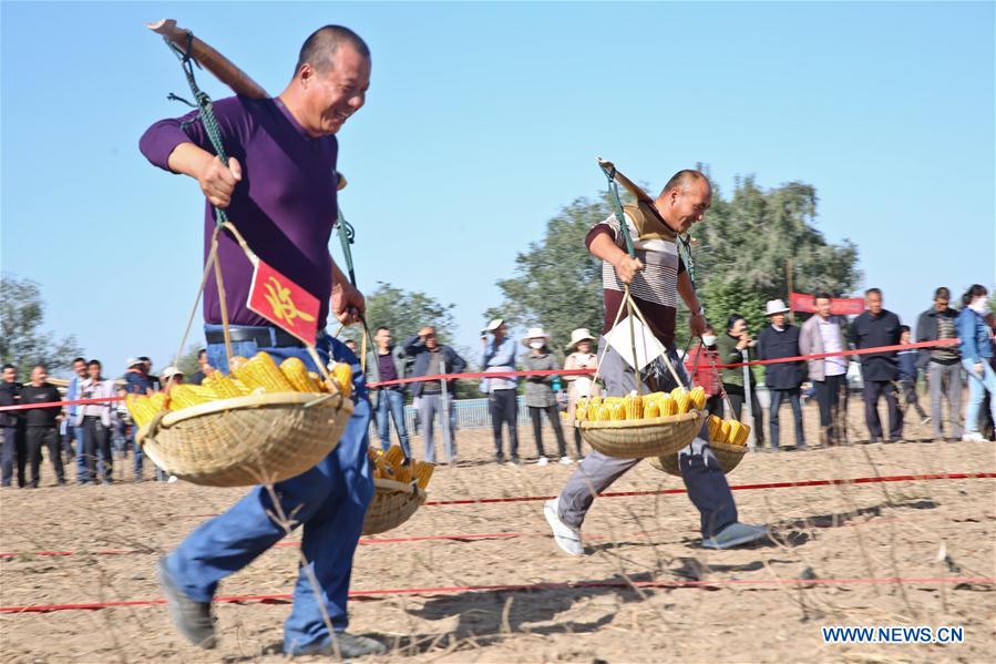 #CHINA-GANSU-ZHANGYE-HARVEST CELEBRATION (CN)