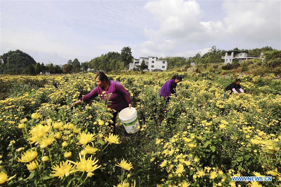 #CHINA-CHONGQING-ENTREPRENEURIAL STORY(CN)