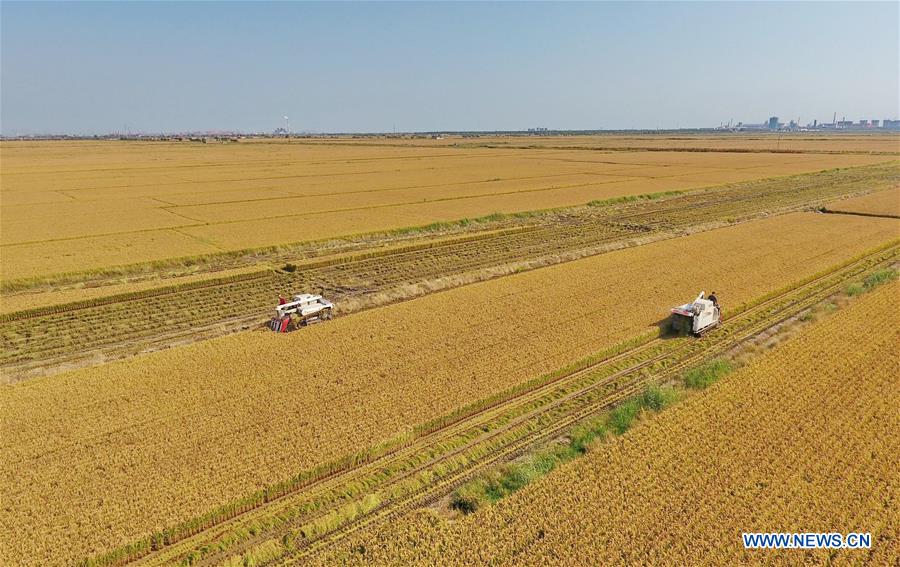 CHINA-HEBEI-FARMWORK (CN)