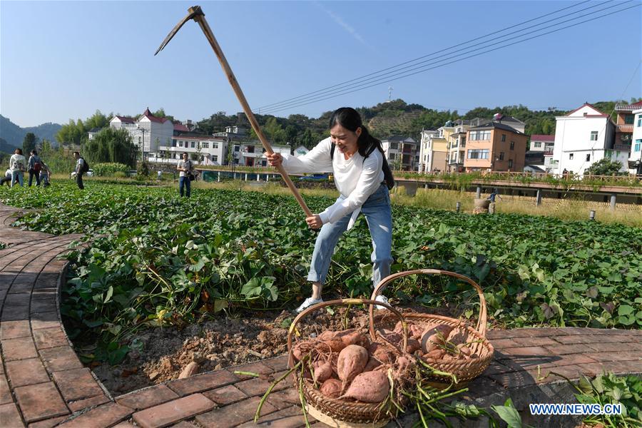 CHINA-ZHEJIANG-HARVEST CELEBRATION-TOURISM (CN)