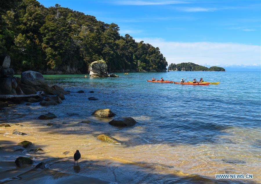 NEW ZEALAND-ABEL TASMAN NATIONAL PARK-DAILY LIFE