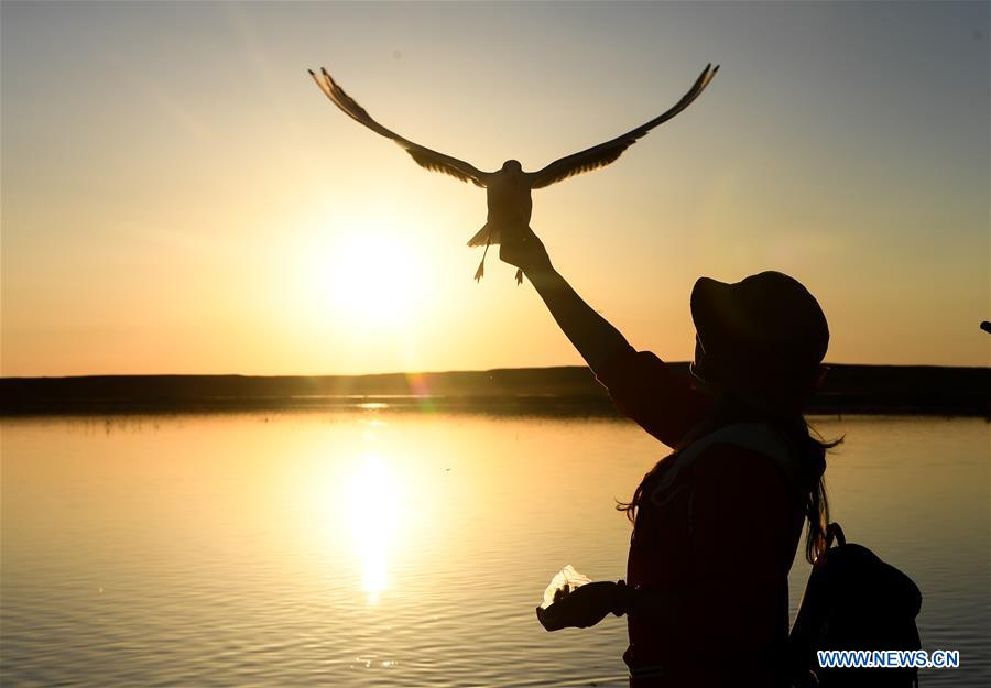 CHINA-INNER MONGOLIA-JUYAN LAKE-SCENERY(CN)