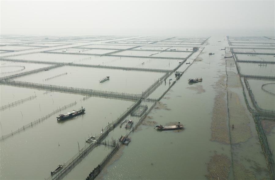 CHINA-ZHEJIANG-CRABS-HARVEST (CN)