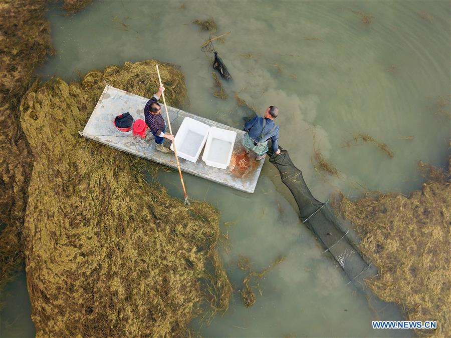 #CHINA-SIHONG-CRAB-HARVEST (CN)