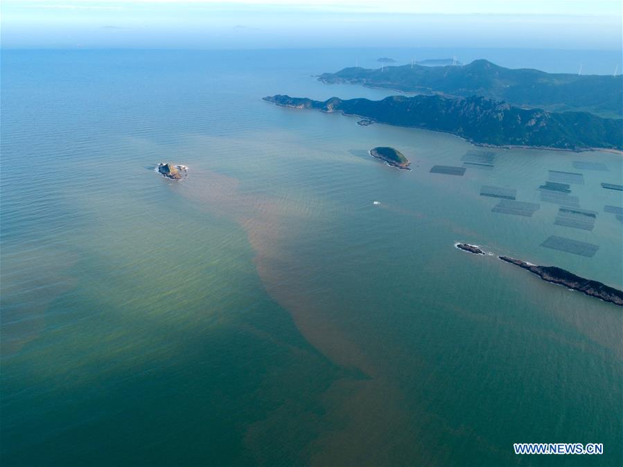 CHINA-FUJIAN-XIAPU-SEAWEED-HARVEST(CN)