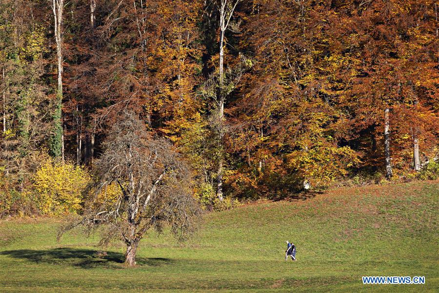 SWITZERLAND-ZURICH-AUTUMN