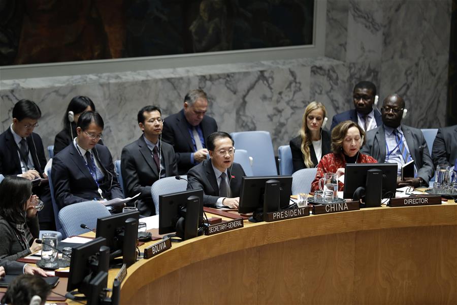 UN-SECURITY COUNCIL-G5 SAHEL FORCE-CHINA-ENVOY