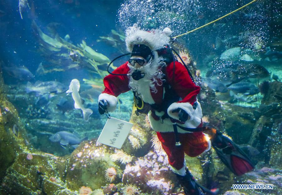 CANADA-VANCOUVER-AQUARIUM-CHRISTMAS