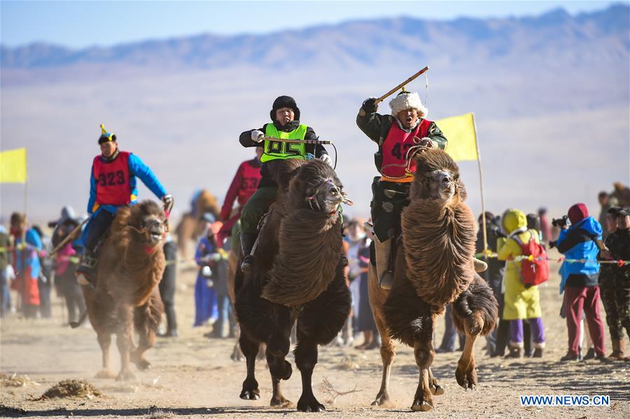 CHINA-INNER MONGOLIA-BAYAN NUR-CAMEL FESTIVAL (CN)