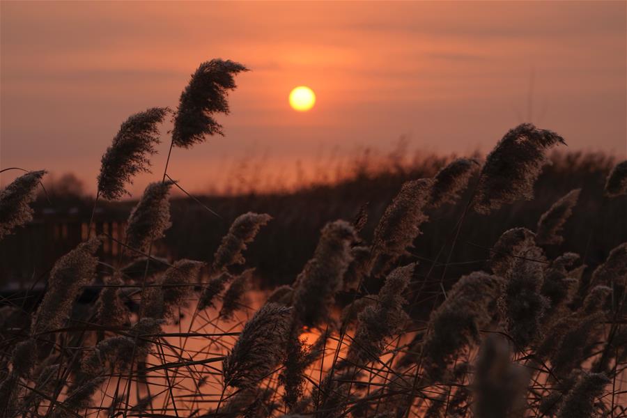 CHINA-HEBEI-BAIYANGDIAN-SUNRISE (CN)