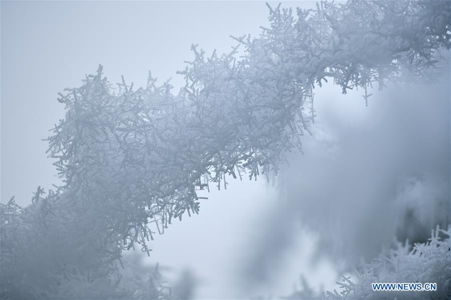 #CHINA-WINTER-RIME (CN)