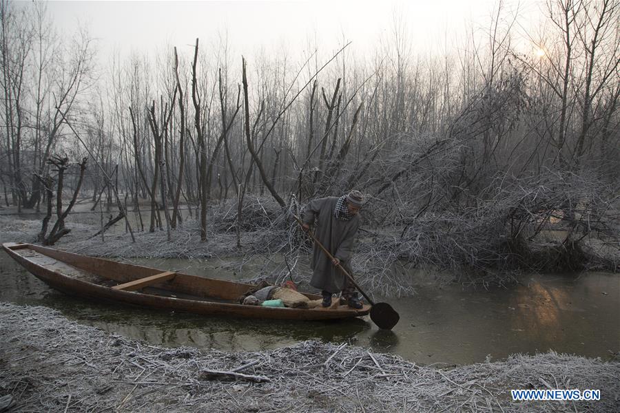 KASHMIR-SRINAGAR-COLD WEATHER