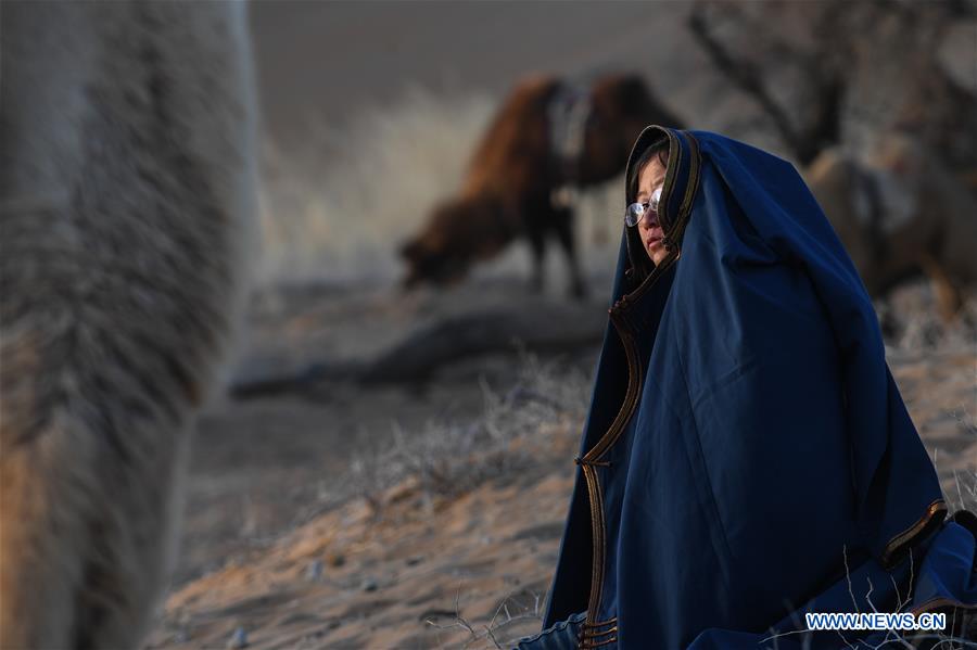 CHINA-INNER MONGOLIA-CAMEL NADAM (CN)