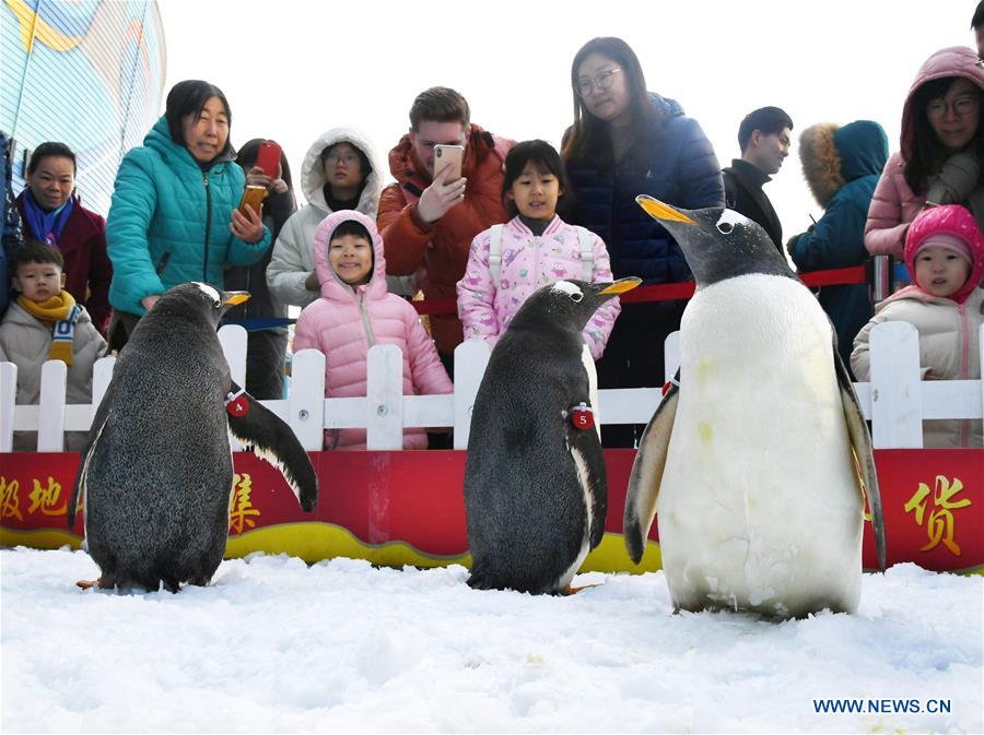 XINHUA PHOTOS OF THE DAY